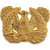 ARMY WARRANT OFFICER GOLD 2" STUD BACK BADGE PIN